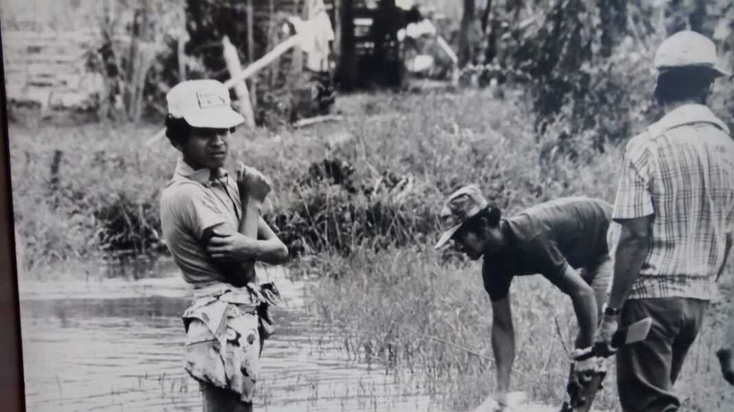 2 EXPERIENCIA 1967 1972