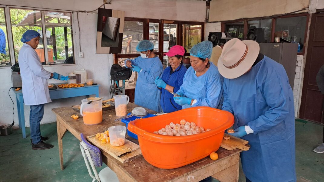 Mundug Yamate - componente productivo